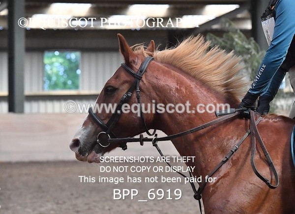 BPP_6919 - CLASS 3 BE80CM