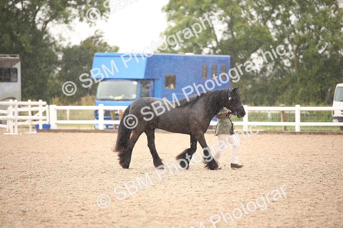 SBM_20699 - Class 705 - IH  Combination 65+