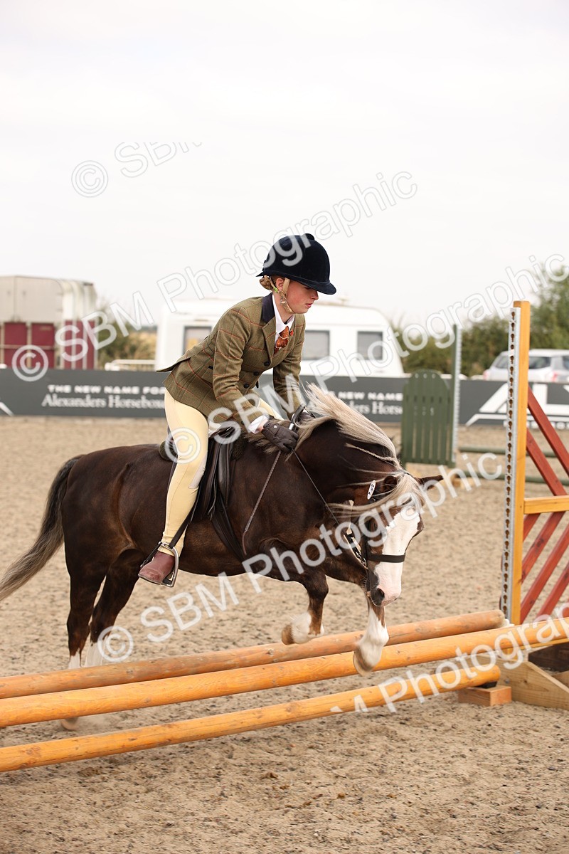 SBM_12576 - Class 405b - M&M Working Veteran 50cm 20+