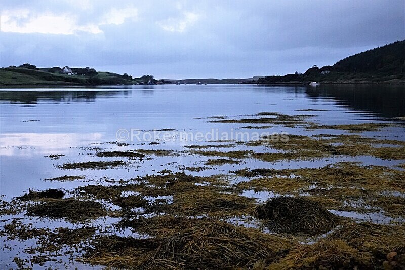 DSC07869 - SEPT 2020 STAYCATION