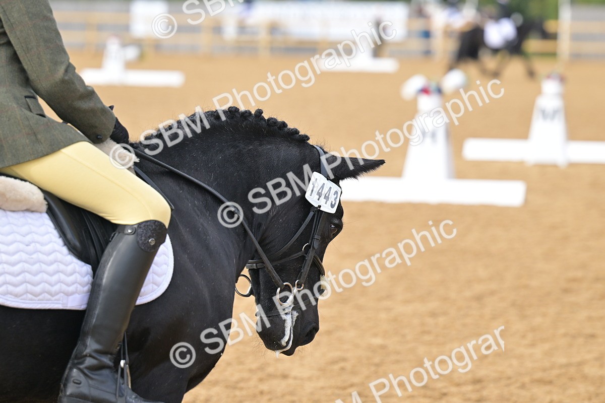SBM_12907 - D3 - Small Tour Championship Intro 3
