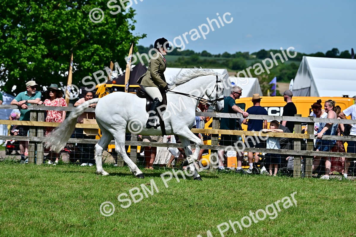 SBM_07908 - Class 61-62 - TSR  M&M Ridden Amateur of the Year
