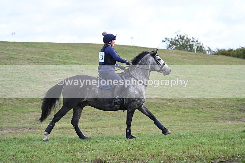 WJ7_0358 - Time 11:36 to 12:00