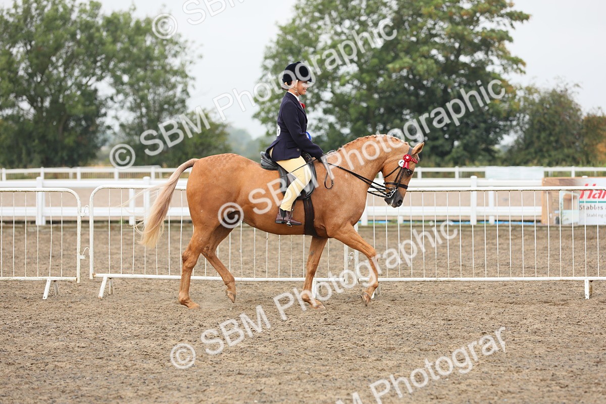 SBM_22445 - Young Rider Championship