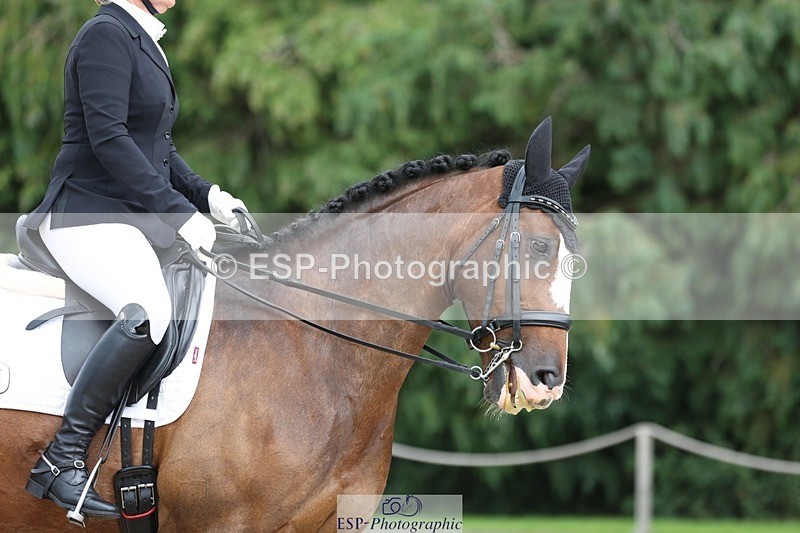 230813-151535-08012 - Cls 11 Elem Bronze 14.30 to End