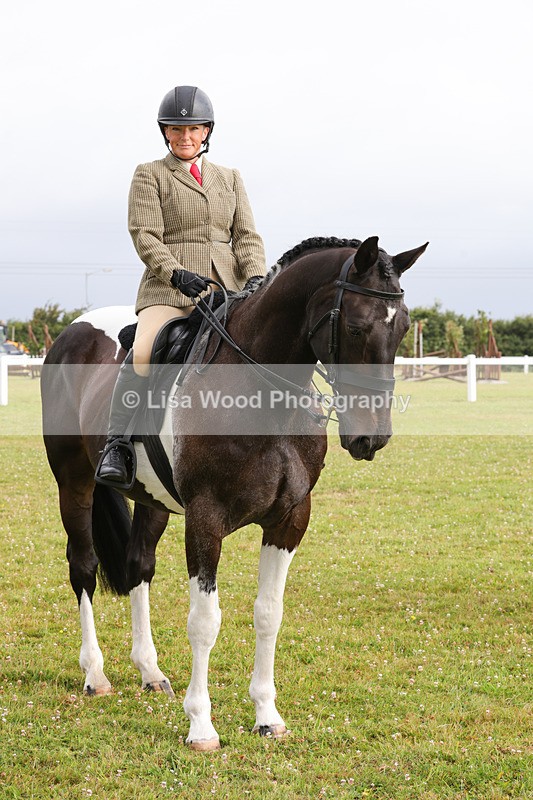 1X9A2941 - Class 25: Ridden Plaited Coloured Horse