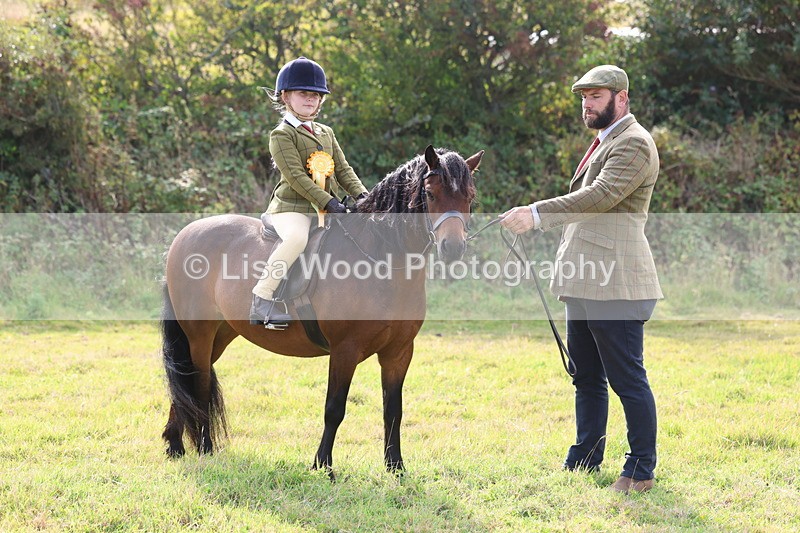 3E7A3775 - Class 2: Lead rein