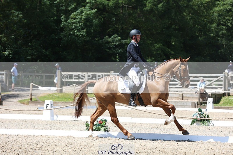 230526-115746-06137 - 157-GODSEND_DU_GIVRE-Henry_Dove-WEDTrotUp+DR