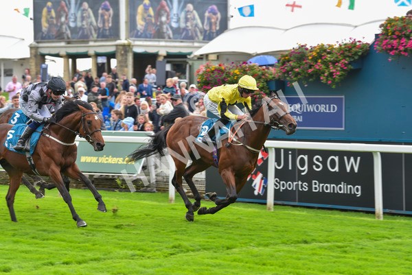 230923-Race 3-Politico-6286 - Race 3 3.10pm Happy 60th Birthday Angela Clark Nursery Handicap