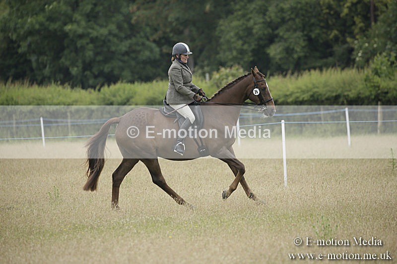 B230619-0340 - Bourne Valley Riding Club Summer Show 23/06/19