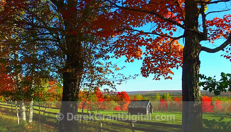 New Brunswick Canada Autumn Foliage - Autumn Festival