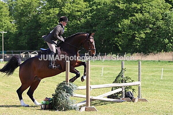 IMG_4445 - Working Hunter