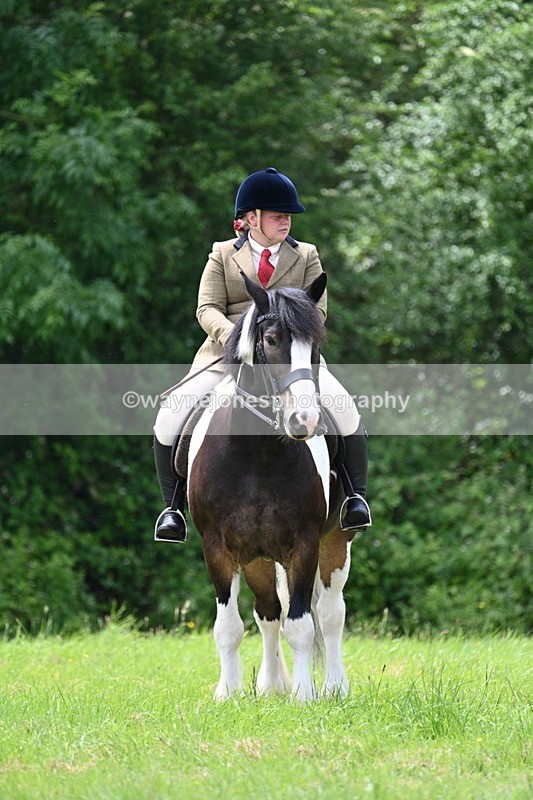 WJ7_2677 - Class 12A Coloured Class