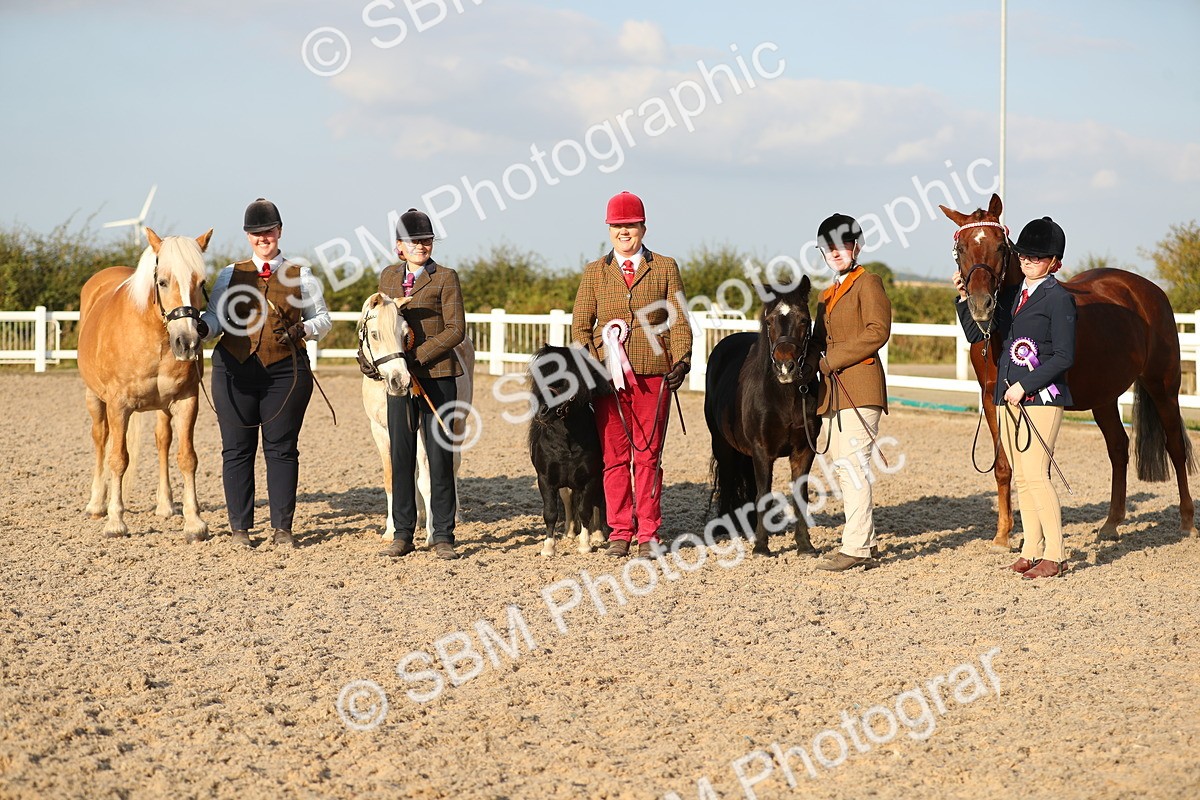 SBM_09164 - Class 29 IH Veteran Pony