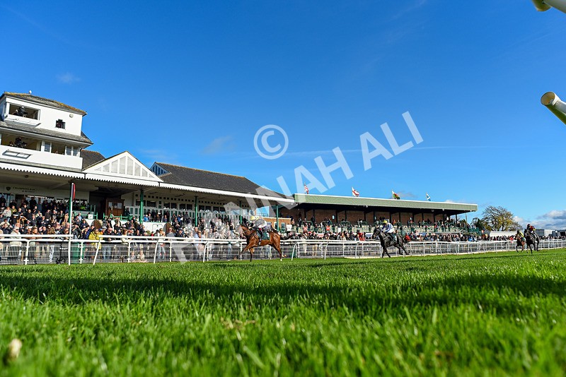 291024-Race 1-Hi Lord-2303 - Race 1