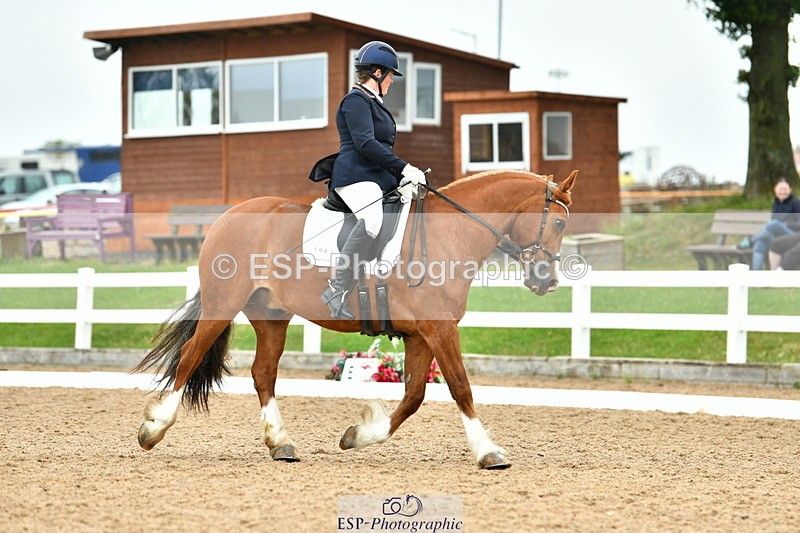 230630A-130406-02278 - Cls 8 Elementary 57