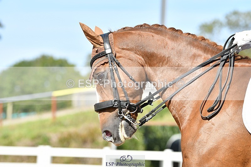 250906-150659-04154 - 126-Clair.ReedCatherston.Specific