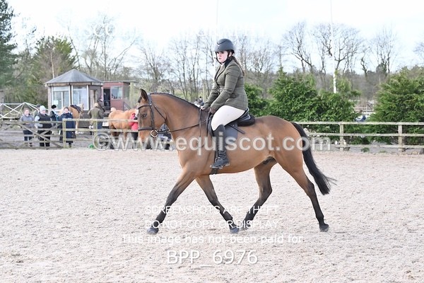 BPP_6976 - RING 1  (RIDDEN HORSES / IN HAND / VETERAN ETC)