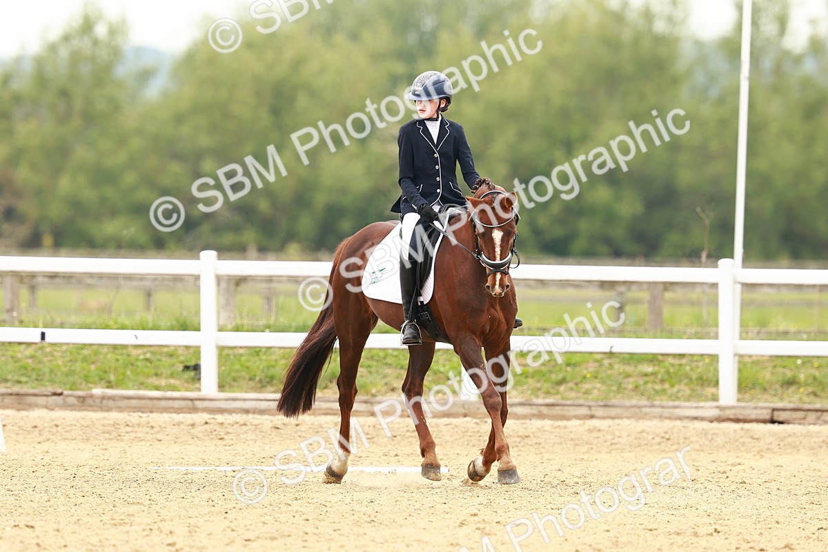 SBM_001126 - Class 6 - Novice 4