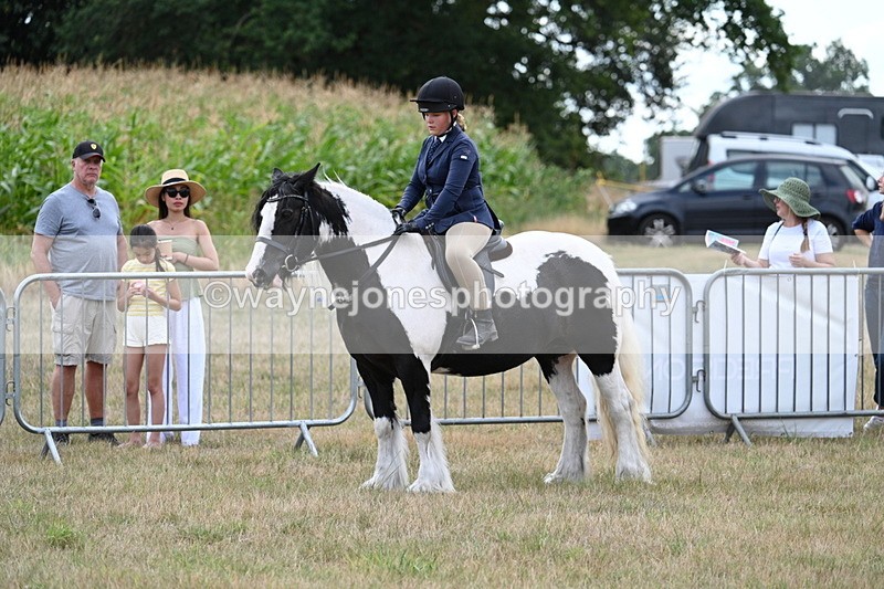 WJ7_5385 - Class 12 Ridden Cob
