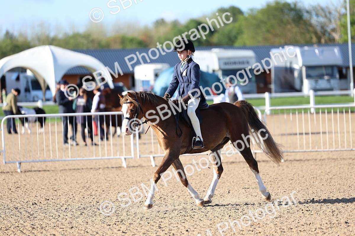 SBM_07847 - Class 301 - Ridden M&M - Small Breeds