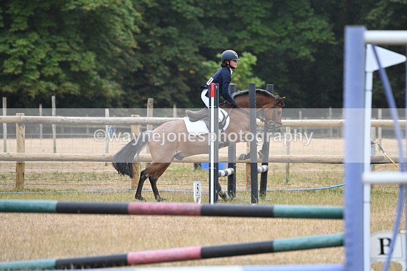 WJ6_9999 - Class 13 Novice Jumping 60cm