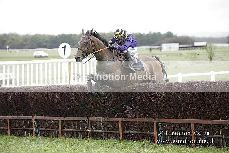 PtP 150320 0239 - New Forest Point-to-Point Larkhill 15/03/20