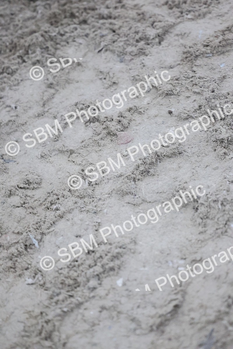 SBM_000539 - Class 2 - 80cm