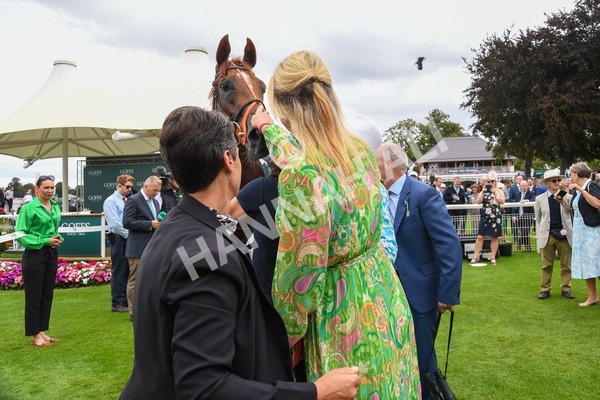 240823-Race 2-Dragon Leader-0221 - Race 2 2.25pm Goffs UK Harry Beeby Premier Yearling Stakes