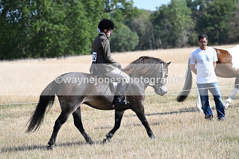 WJ7_2914 - Class 8 Ridden Tack & Turnout