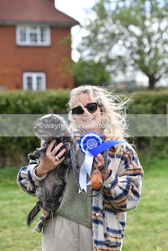 WJ5_9401 - Class 1 Best Cross Breed / Heniz 57