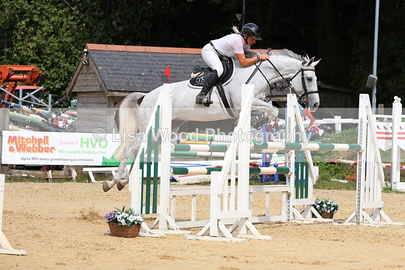 3E7A4478 - Class 8: Senior Foxhunter/1.20 open