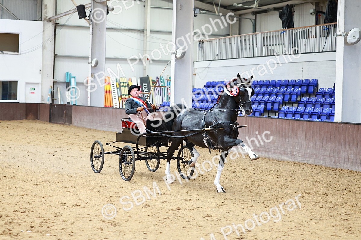 SBM_001027 - Class 13  - HHS Championship Intl Hackney Horse to a Show Wagon