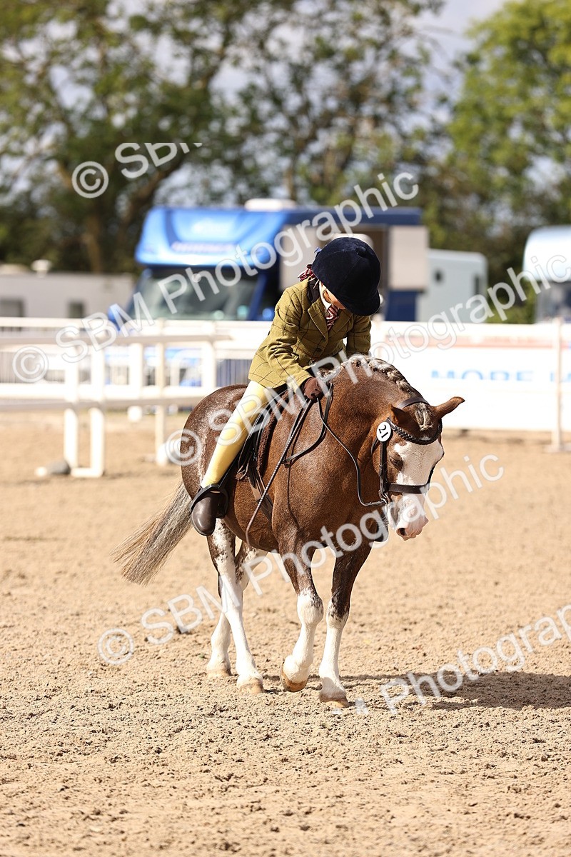 SBM_11672 - Class 408 - Grassroots Ridden - Walk & Trot