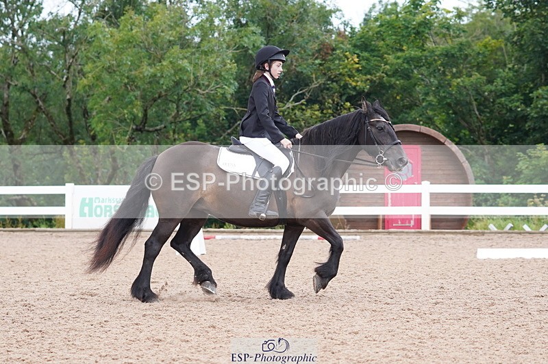 240809A-095432-00354 - Dressage Competition