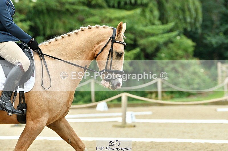 230623-085316-00068 - Cls 1 Prelim 17 Start to 9.35 break