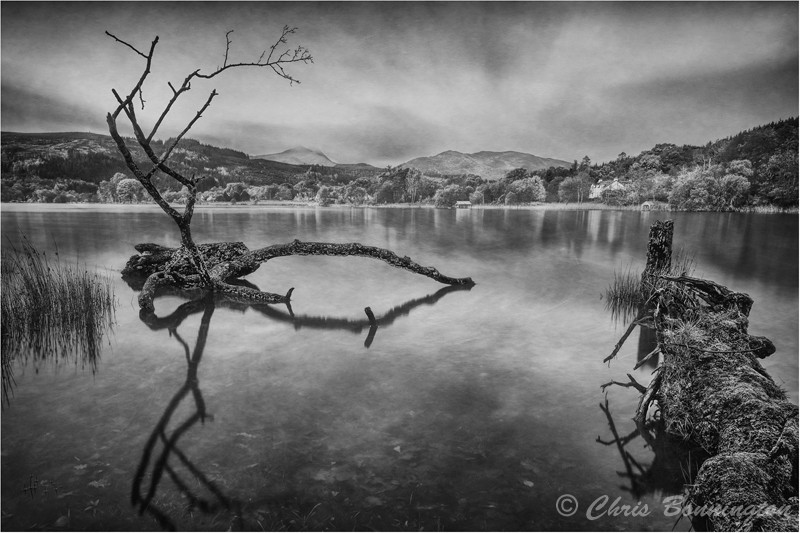 Engulfed - Landscapes - Mono