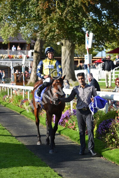 yr08102021r4-41 - Race 4 3.50pm Casumo Dare To be Different Handicap