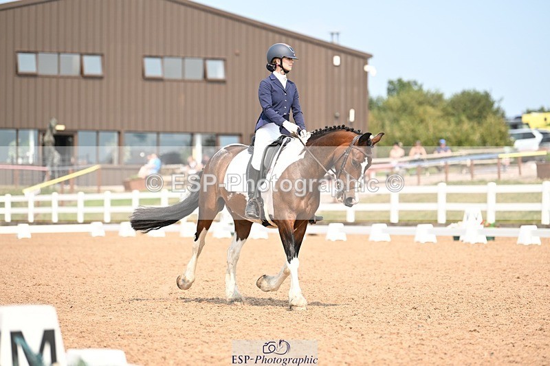 250816-140422-04991 - 050-Mollie.SheathTouch.Wood