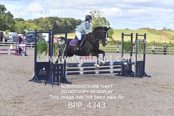 BPP_4343 - CLASS 6 HORSE 60CM FINAL