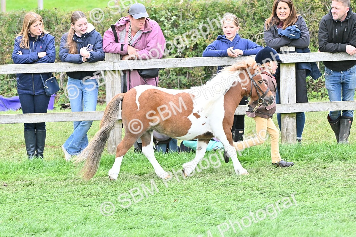 SBM_66778 - S41 - Junior Handler 8 Years & Under