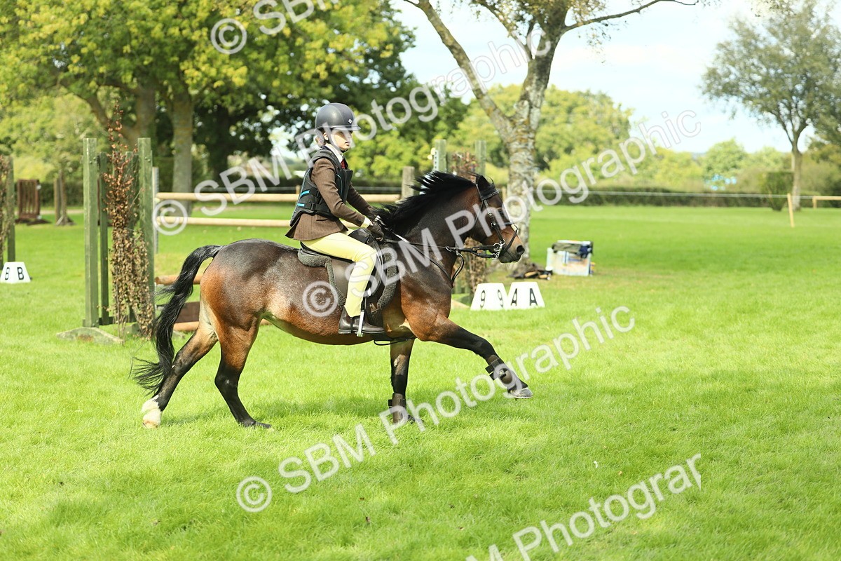 SBM_42754 - S30 - M&M Working hunter Pony