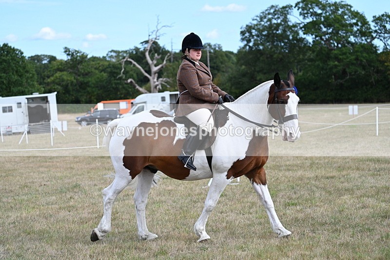 WJ7_7554 - Ridden Championship