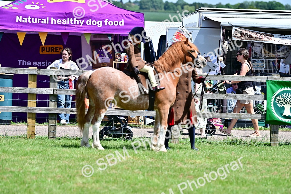 SBM_05851 - Class 59-60 - TSR M&M  Lear Rein and First Ridden Amateur of the year