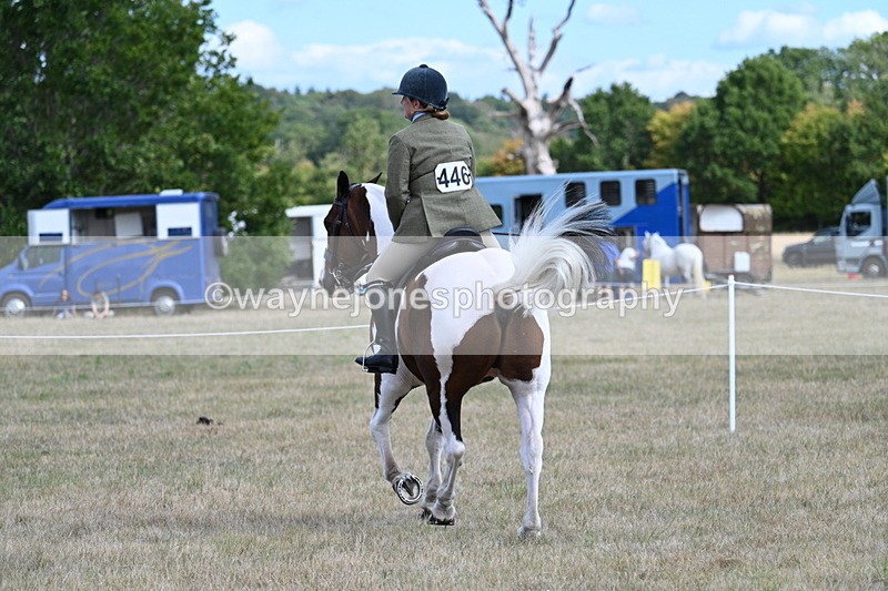 WJ7_7244 - Class 14 Ridden Coloured