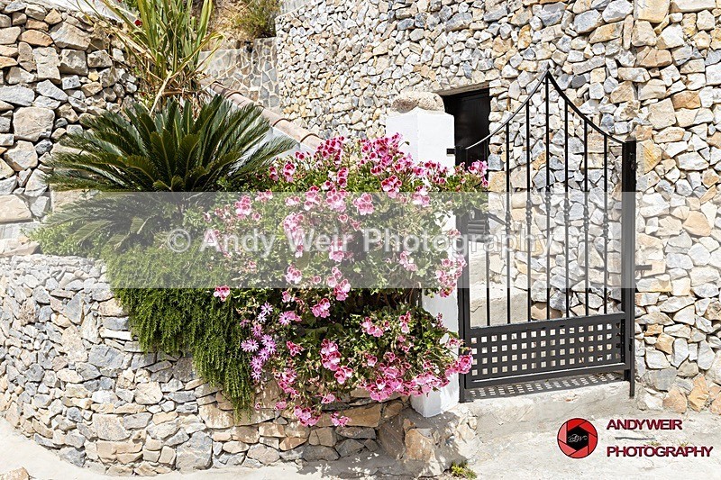 190517-untitled-1L4A1275 - Street Views