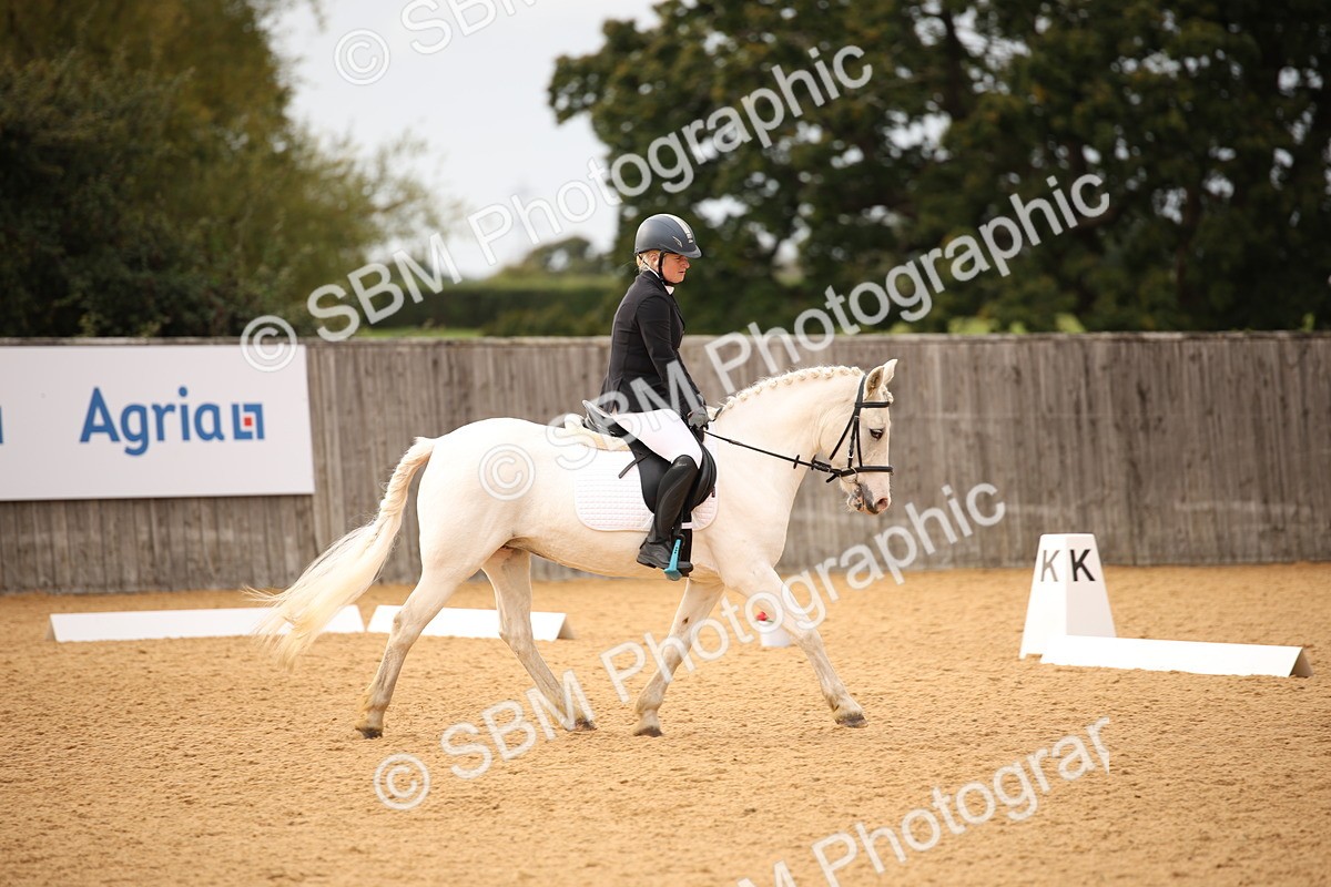 SBM_12306 - D3 Small  Tour Championship Intro A