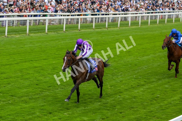 230823-Race 3-Continuous-4207 - Race 3 3.00pm Sky Bet Great Voltigeur Stakes