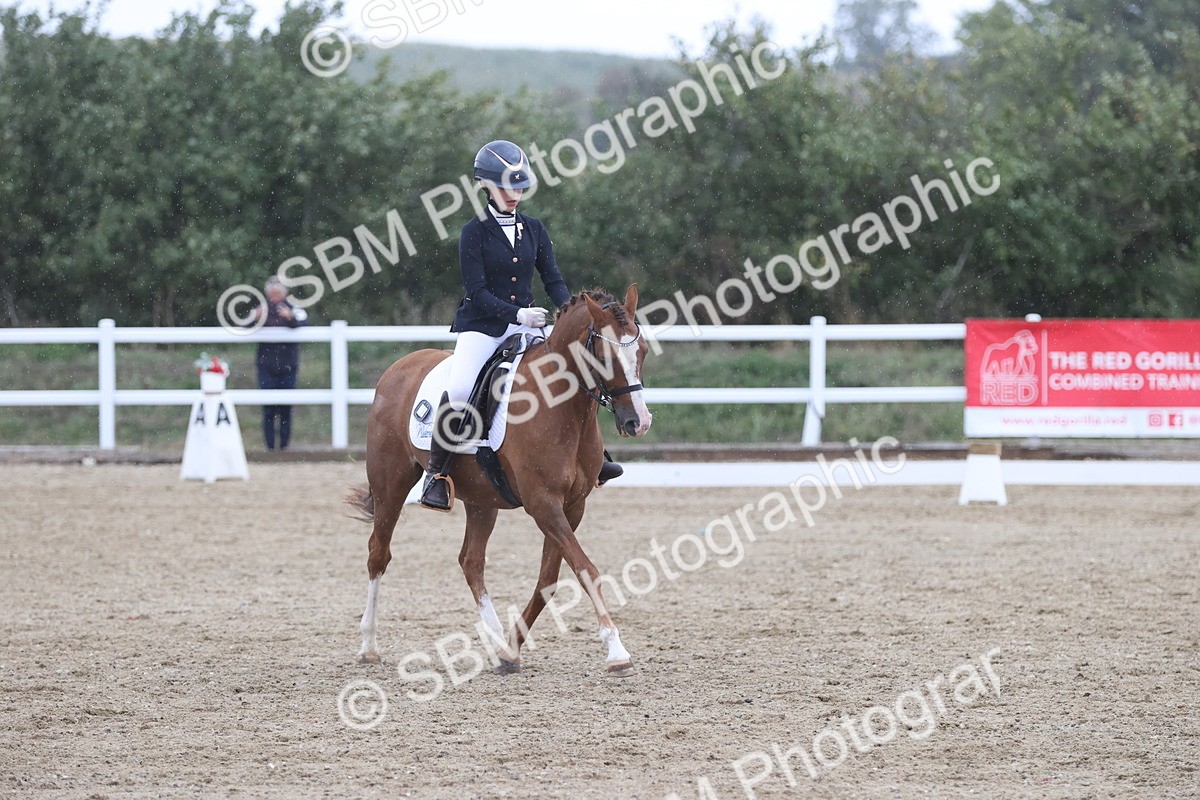 SBM_004334 - Class 9 - Novice 3 Champs
