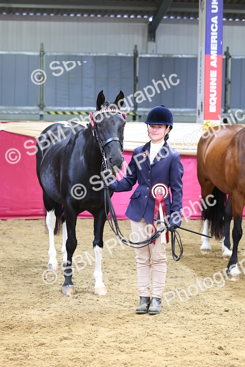 SBM_22978 - Class 903 - Supreme Final - IH Pre Vet